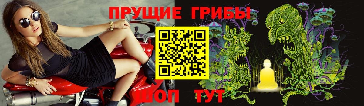 Гурьевск  Галлюциногенные грибы Psilocybine cubensis  Вход с VPN 