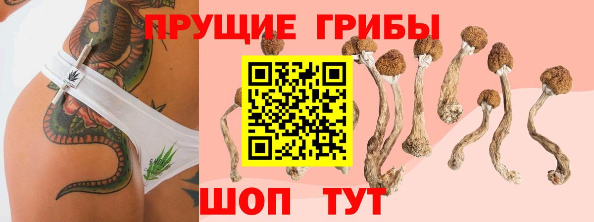 Псилоцибиновые грибы MAGIC MUSHROOMS Гурьевск